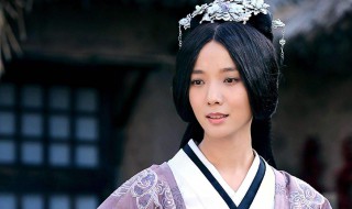 卫子夫电视剧结局（卫子夫电视剧结局如何）