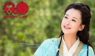 天天有喜电视剧大结局（天天有喜电视剧大结局免费观看）
