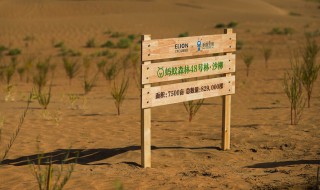 能量双击卡怎么获得 蚂蚁森林能量双击卡怎么获得