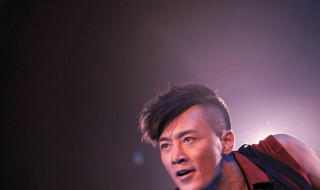 林峰主演的电视剧（林峰主演的电视剧30部）