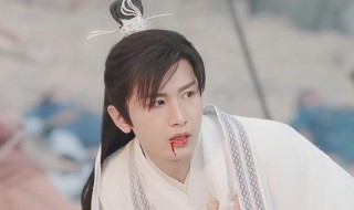 琉璃璇玑得司风的身份介绍 琉璃璇玑和司凤是什么身份