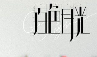 白色月光最后大结局什么意思 白色月光最后大结局什么意思啊