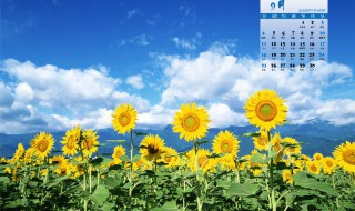 9月份的结婚黄道吉日（9月份的结婚黄道吉日查询）