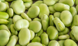 新鲜蚕豆米保鲜方法（新鲜蚕豆米怎样保存好）