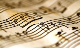 我们一起学猫叫歌曲歌词（我们一起学猫叫歌曲歌词女生）
