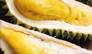 带壳榴莲储存方法 带壳榴莲储存方法图解