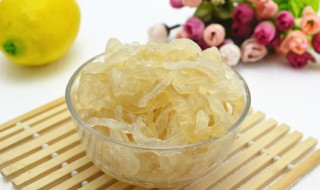海蜇的折叠方法（海蜇的折叠方法图解）