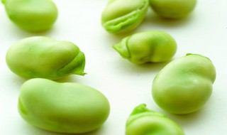 蚕豆保鲜及储存方法（蚕豆保鲜及储存方法图解）