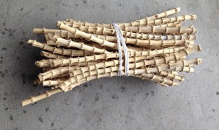 怎样正确判断竹鞭的位置（怎样正确判断竹鞭的位置图）