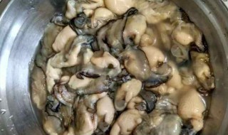 海蛎如何清洗 海蛎如何清洗和处理