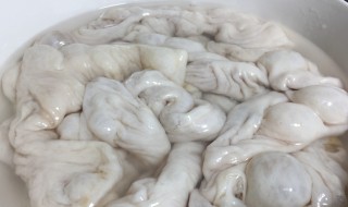 如何清洗猪大肠 如何清洗猪大肠和猪肚子