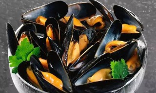 如何清洗淡菜 如何清洗淡菜视频