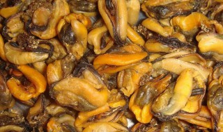 淡菜如何清洗 淡菜如何清洗才干净