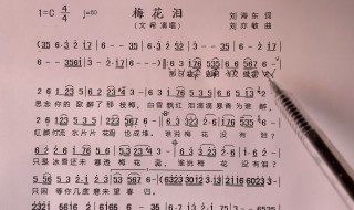 梅花泪歌词简谱 歌曲梅花泪歌词简谱