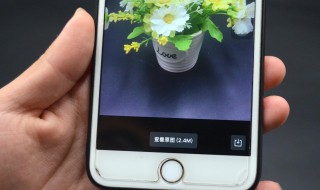 微信原图怎么发（微信原图怎么发送照片）
