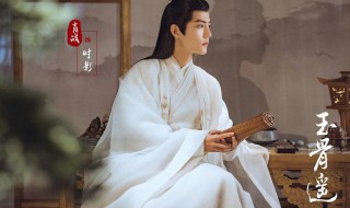 玉骨遥简介（电视剧玉骨遥简介）