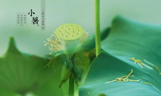 小暑的含义和由来 小暑的含义和由来是什么