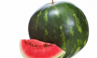迷你西瓜种植方法（迷你西瓜种植方法图片）