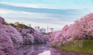 日本国歌歌词中文翻译 日本国歌歌词中文翻译视频