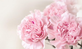 送母亲鲜花送什么花（送母亲鲜花送什么花好）
