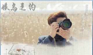候鸟的等待大结局（等待的候鸟剧情介绍）