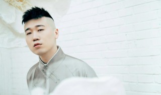 杨九郎个人资料（杨九郎个人资料简介）