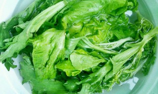 青菜如何清洗 青菜如何清洗可以洗掉农药