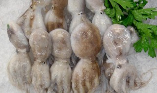 如何清洗章鱼（如何清洗章鱼小丸子锅）
