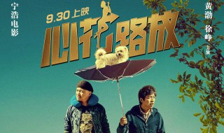 心花怒放电影简介 心花怒放这部电影讲的是什么