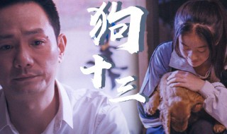狗十三电影简介 狗十三电影故事简介
