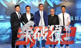 电影杀破狼2简介（杀破狼2电影百度百科）