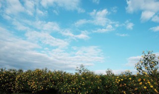 天空之城李志歌词（天空之城李志歌词拉稀拉米搜）