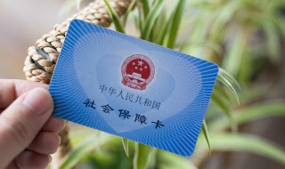 社保怎么网上缴费（农村社保怎么网上缴费）
