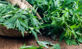 艾草挂门中间吗 艾草挂门里面还是外面