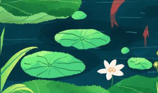 夏至后节气 夏至节气画