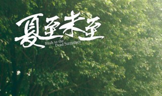夏至未至电视剧经典台词 夏至未至第七集台词独白