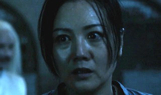 奶奶电影恐怖电影简介（恐怖电影老奶奶）