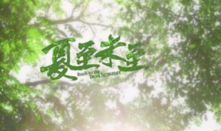 夏至未至片头曲是什么（夏至未至 片尾曲）