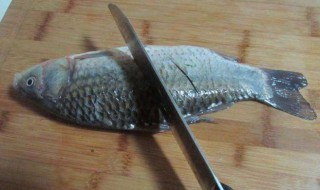 鲤鱼去腥线方法 鲤鱼如何去腥线
