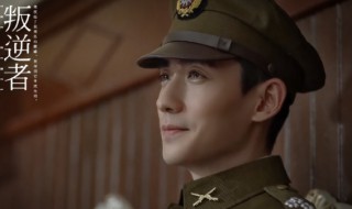 叛逆者剧情介绍朱怡贞结局（叛逆者剧情介绍朱怡贞结局怎么样）