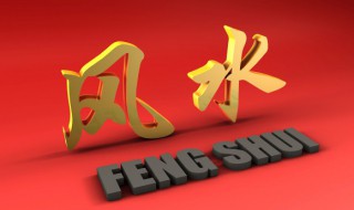 鹦哥鱼的风水学应用（鹦鹉鱼养几条风水好）