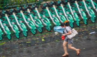 大风红色预警是指几级风 大风红色预警是什么级别