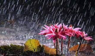 几月份是梅雨季节 几月份是梅雨季节?
