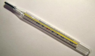 怎么看水银温度计 怎么看水银温度计图片