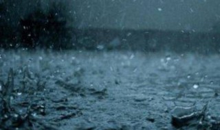 下雨之前的自然现象 下雨之前的自然现象作文200字