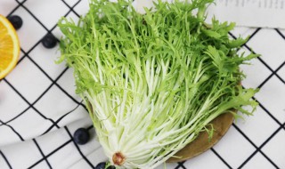 菊苣在农村叫什么 什么叫菊苣菜,长啥样?
