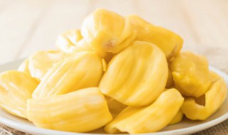 菠萝蜜怎么挑选果肉大（菠萝蜜怎么挑选果肉大还是小）
