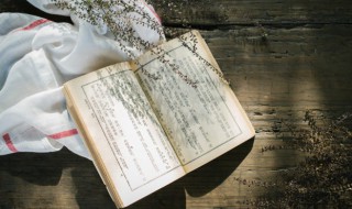 八字伤官是什么意思 八字伤官是什么意思 八字如何查伤官