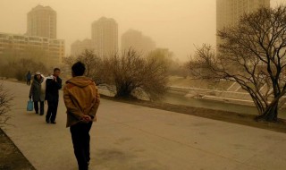 沙尘暴来临时我们应该怎么做（沙尘暴来临时我们应该怎么做防护）