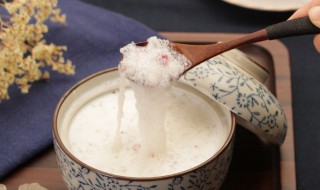雪燕是什么东西（雪燕是什么东西 有什么功效怎么吃）